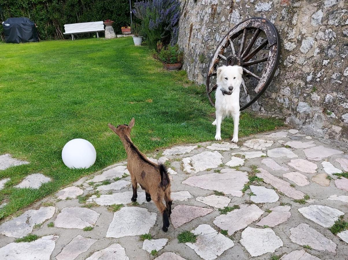 Agriturismo Campagna In Compagnia 발로 디 네라 외부 사진