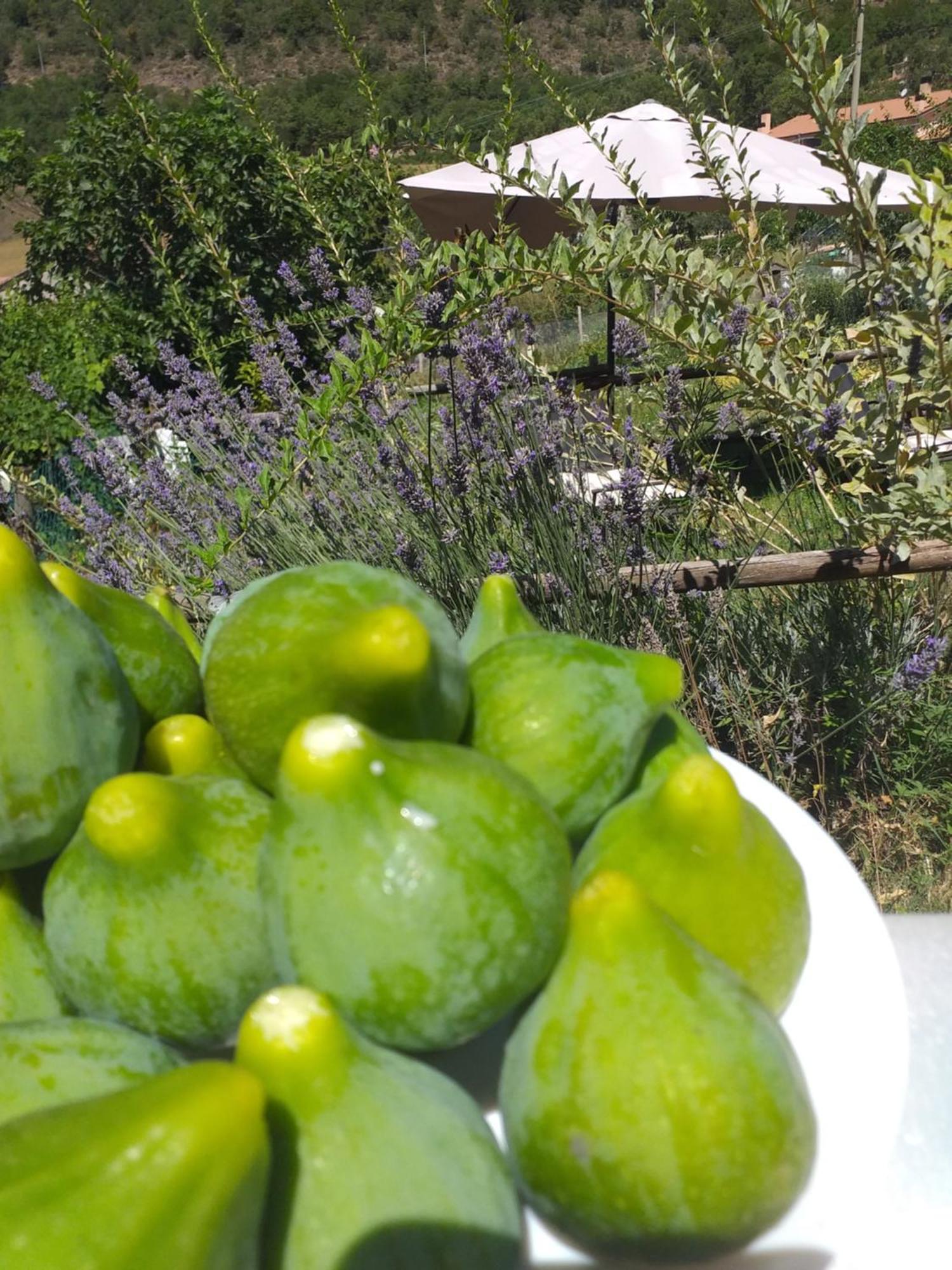 Agriturismo Campagna In Compagnia 발로 디 네라 외부 사진