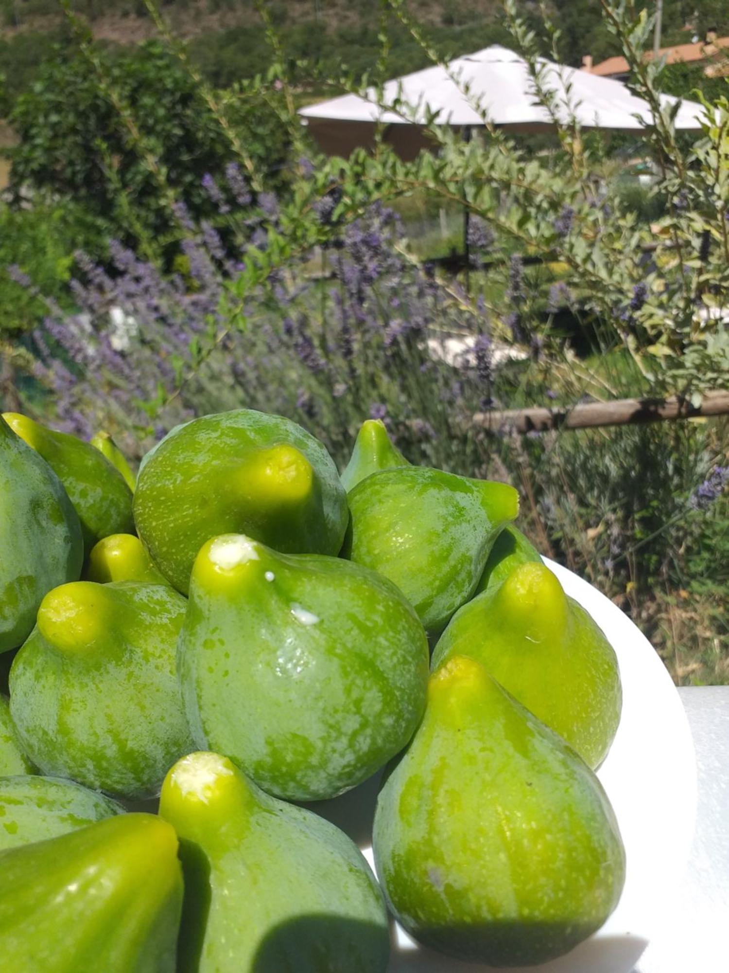 Agriturismo Campagna In Compagnia 발로 디 네라 외부 사진