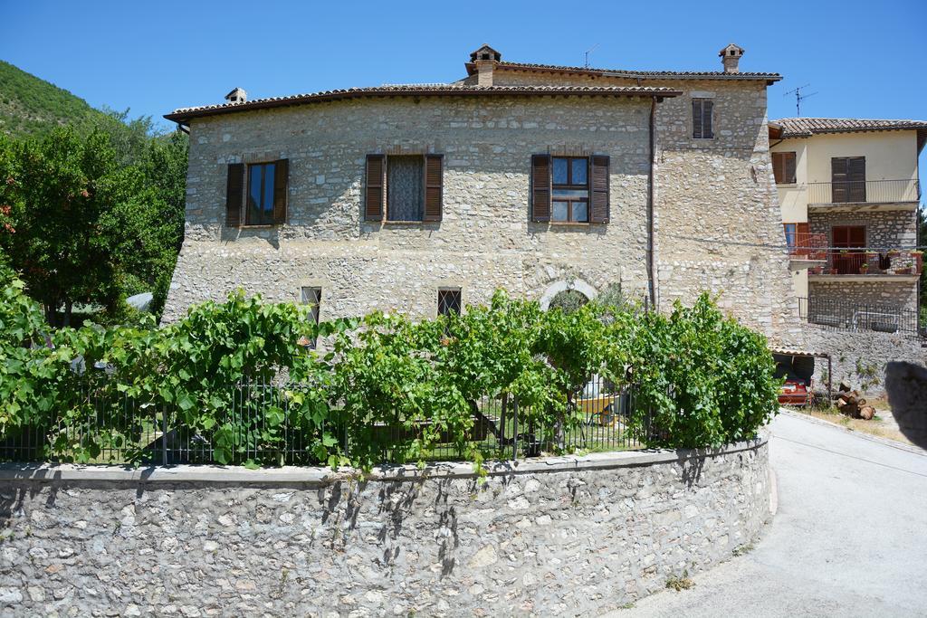 Agriturismo Campagna In Compagnia 발로 디 네라 외부 사진