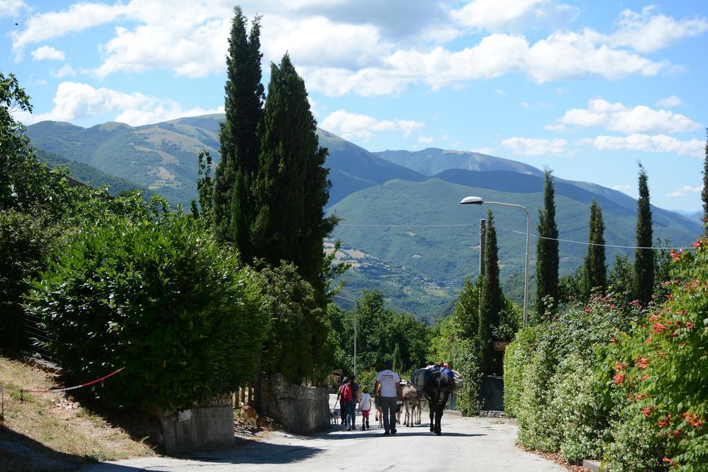 Agriturismo Campagna In Compagnia 발로 디 네라 외부 사진